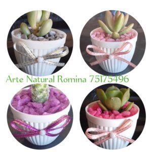 Macetitas Pequeñas de Plástico