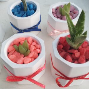 Macetitas Pequeñas (Blanco)