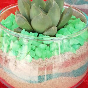 Maceta Mediana de Vidrio