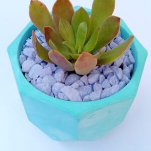 Maceta Mediana de Yeso en Diferentes Colores